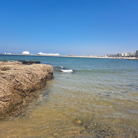 Matosinhos Relax And Fun By Portoproperties4You Luaran gambar